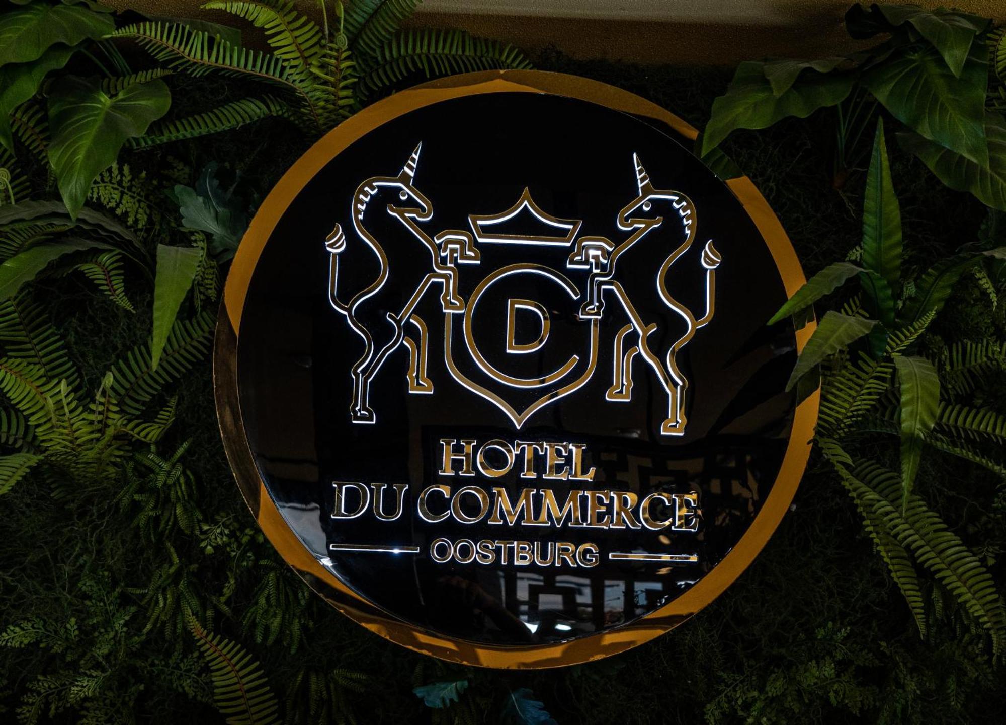 Hotel Du Commerce Oostburg Eksteriør bilde
